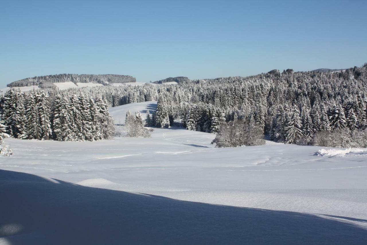 Ferienwohnung Nagelfluh Allgaeu Оберройте Экстерьер фото